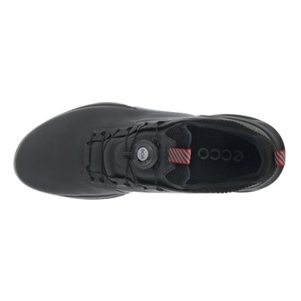 Ecco M Golf Biom C4 BOA Magnet Black