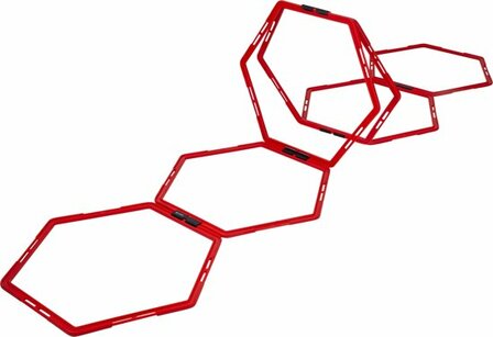 Pure2Improve Hexagon agility grid Loopladder